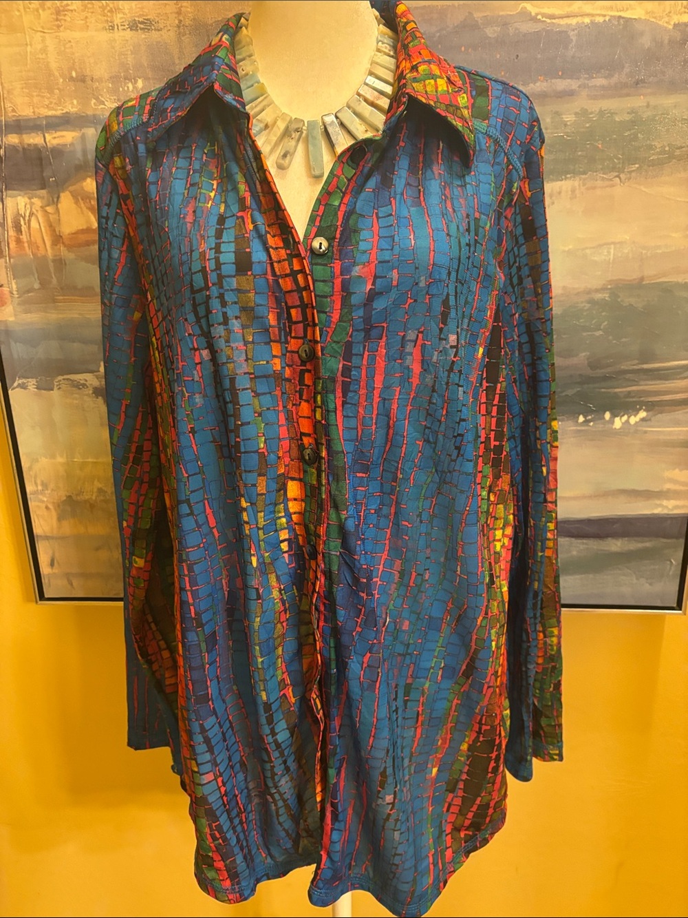 SNO SKINS Multicolor Button-Down Tunic Shirt - Blue, Red, Green, Yellow